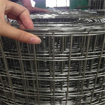 Pas Dayanıklı Galvanizli 50*50mm Kaynaklı Tel Ağı Çit 1/4 Inch Delik Kare Çelik Kaynak Ağı Üreticiler tarafından Toptan Fiyatlar