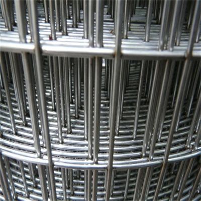 Özelleştirilebilir 4ftx50ft Galvanizli Kaynaklı Tel Ağı Tavuk Kuş Kafes Tel Ağı