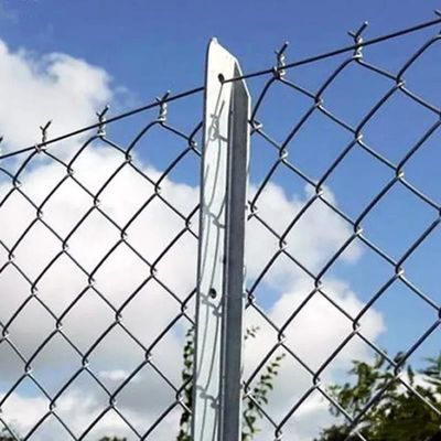 8ft Yükseklik Galvanize Zincir Bağ Çit Hayvanat Bahçesi Tel örgü Tüm Hayvanlar için