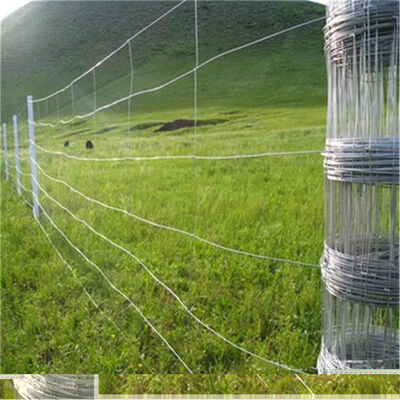 Galvanize Dayanıklı Demir Tel Ağı Modern Çit metal çerçeveli bahçe ve hayvancılık çiftliği sığırları için