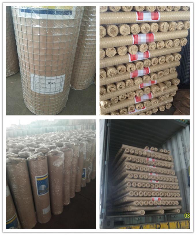 5-50m Uzunluk BWG12 Tavşan Kafesleri için PVC Kaynaklı Tel Ağı Ruloları Tavuk Kulübü 9